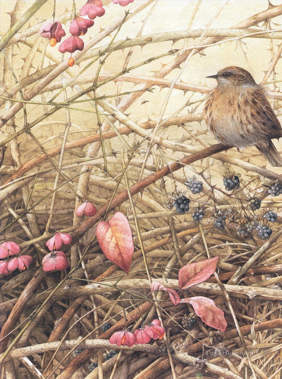 nature hiver oiseaux Peintures à l'huile